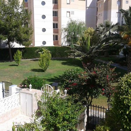 Duplex Calas Blancas Торевьиа Экстерьер фото